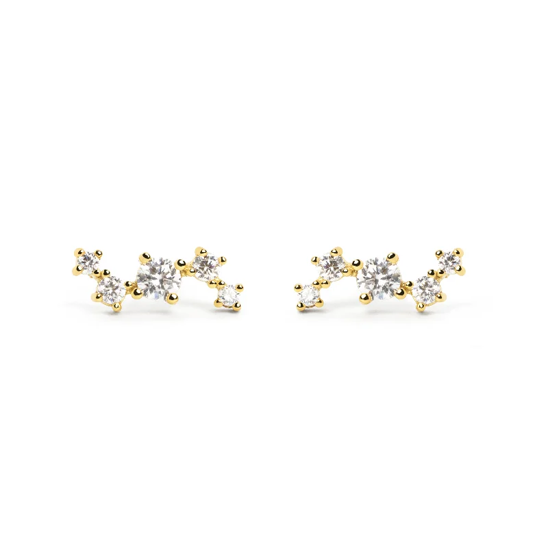 5 Star Gold Earrings